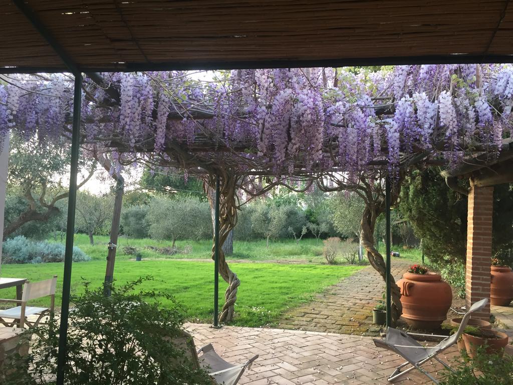 Affittacamere Casale Ai Poggi Orbetello Esterno foto