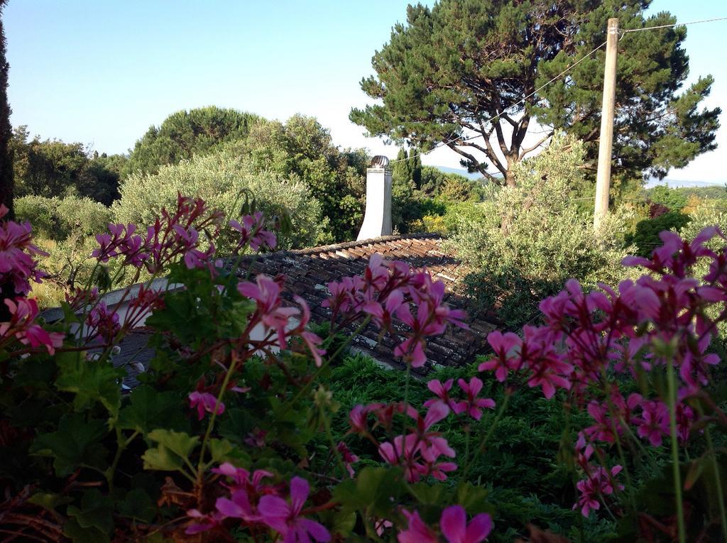 Affittacamere Casale Ai Poggi Orbetello Esterno foto